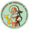 sindicatosanfranciscodeasis.cl